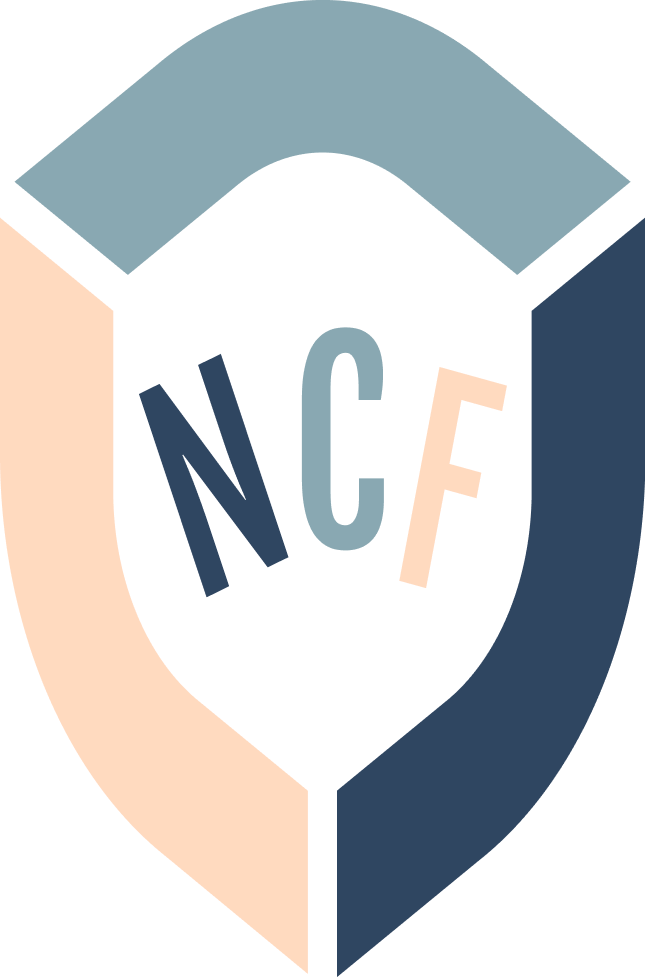 nourivocheflessfoodi.com